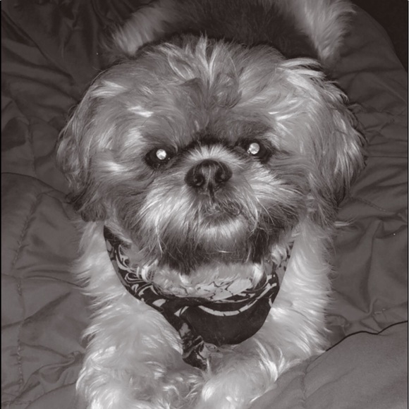 Meet me! 🐇✨ - Picture 3 of 3